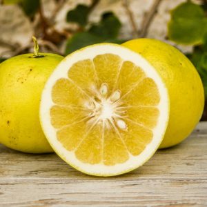 pomelo amarillo