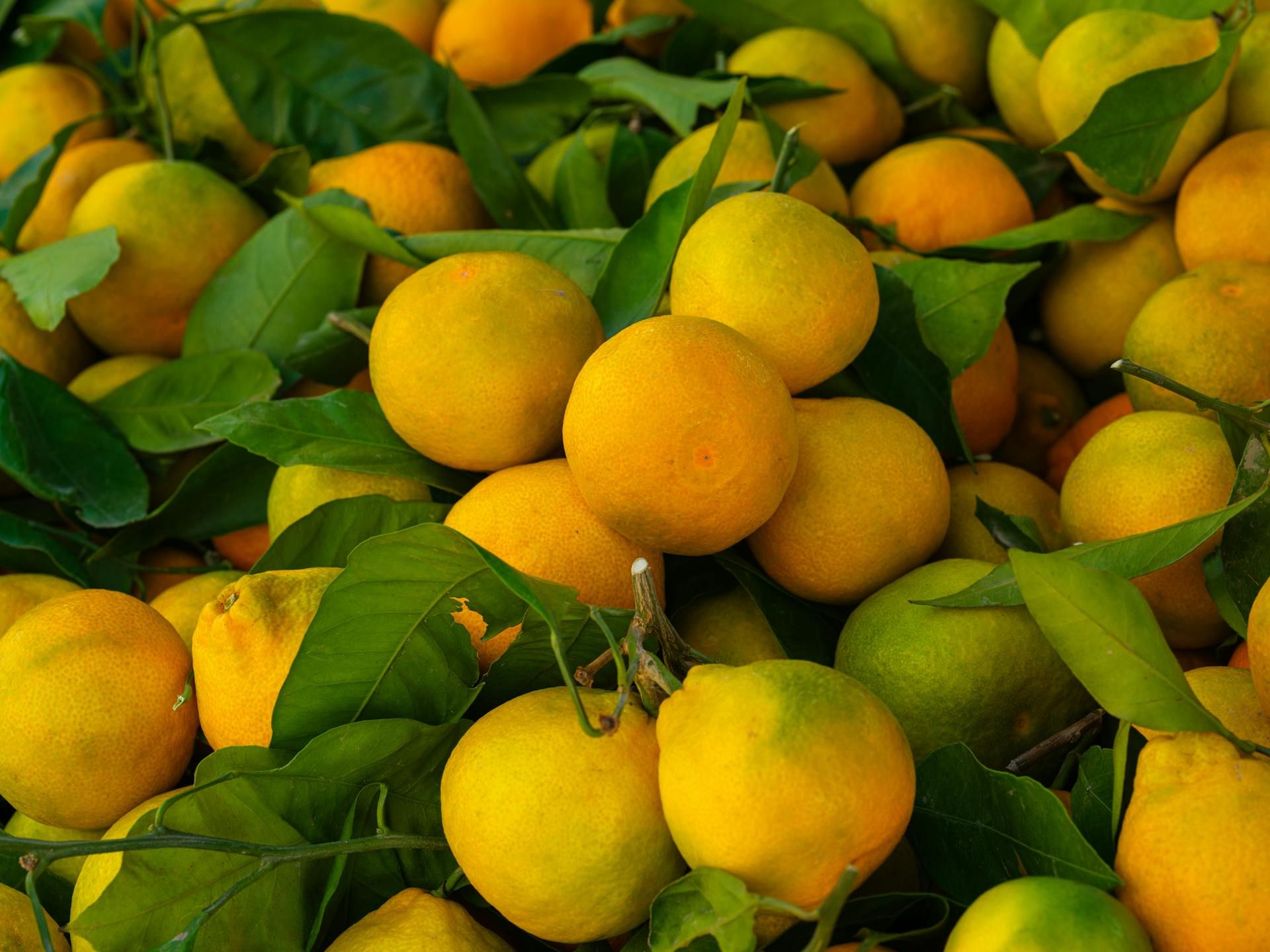 naranjas zumo